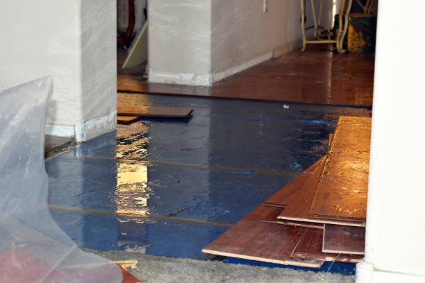 Professional Structural Drying technician working in Henley, MO